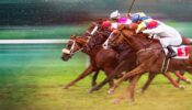 Race for the Crown izle