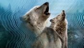 Secret World of Sound izle