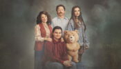 ted izle